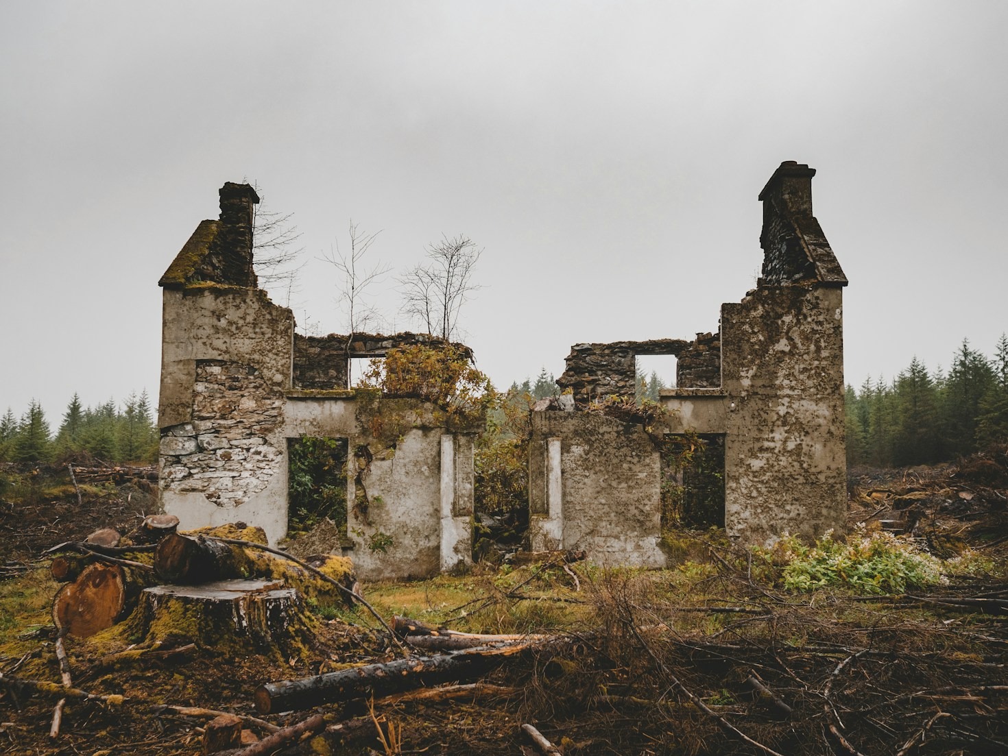 La casa è sparita: un racconto di resilienza
